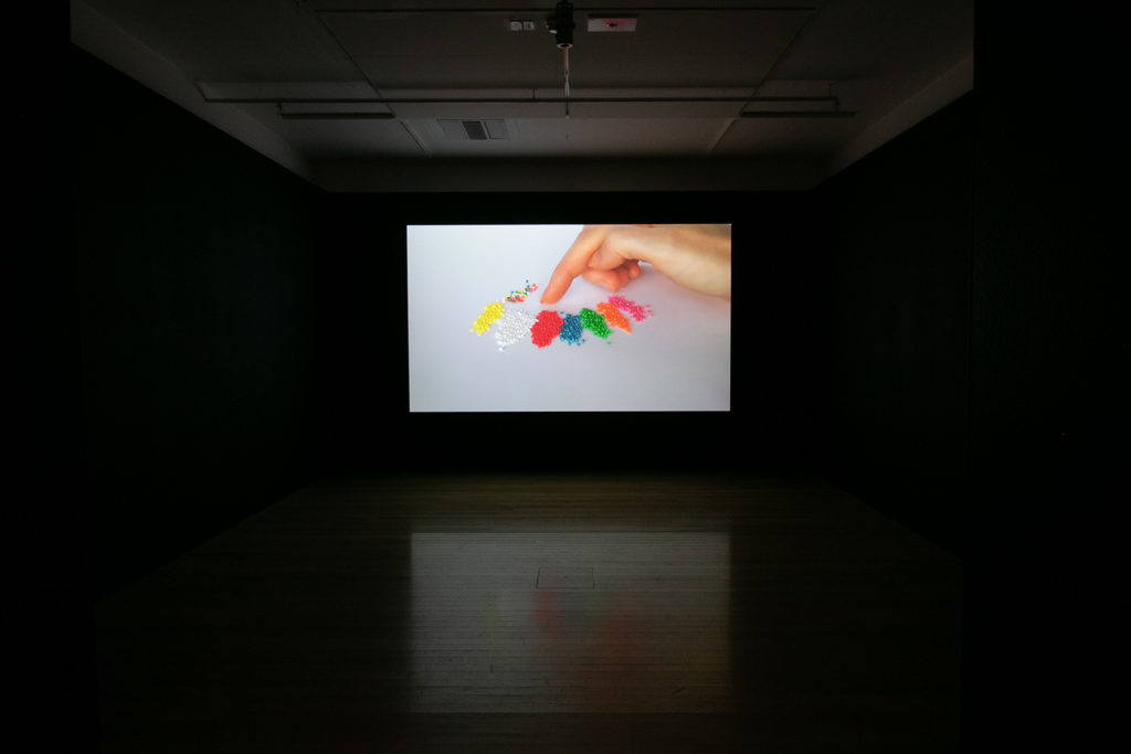 Install of 100's & 1000's at Tauranga Art Gallery